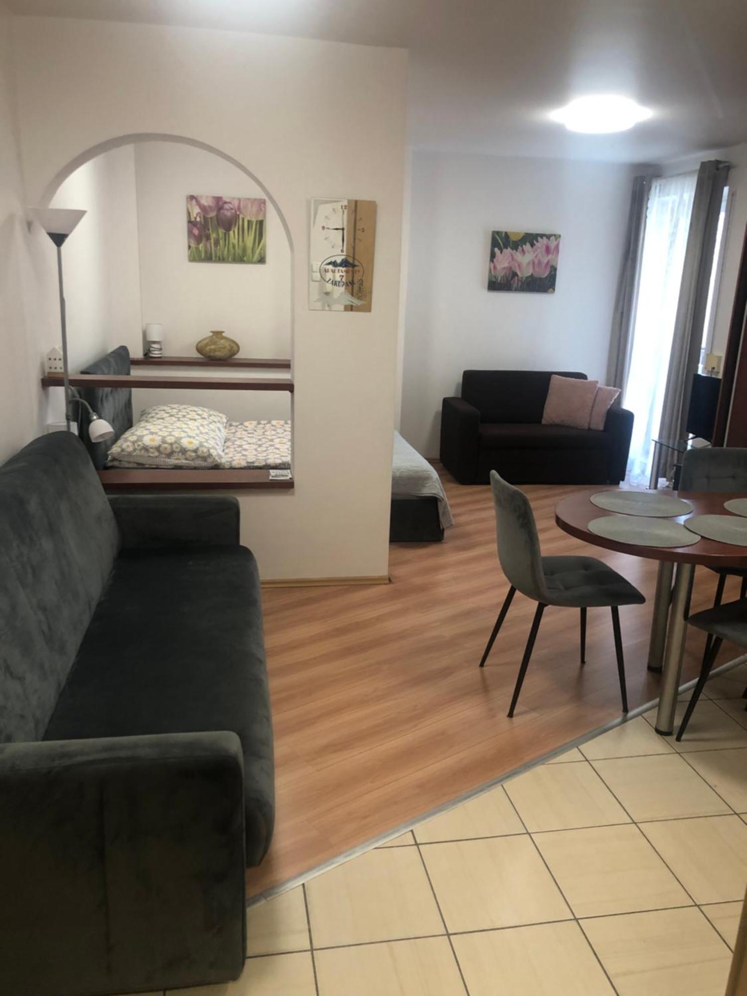 Apartament Studio ザコパネ エクステリア 写真