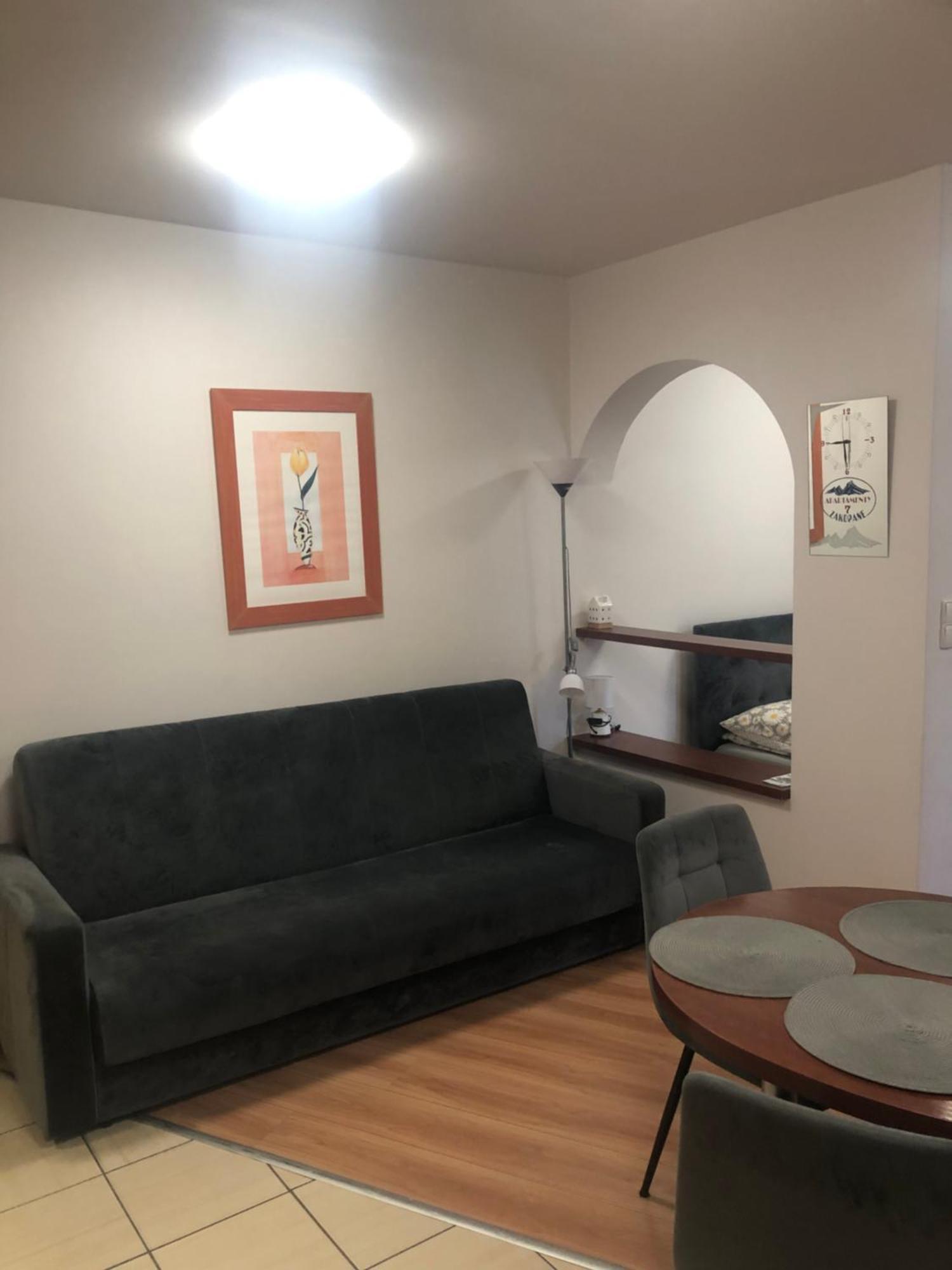 Apartament Studio ザコパネ エクステリア 写真