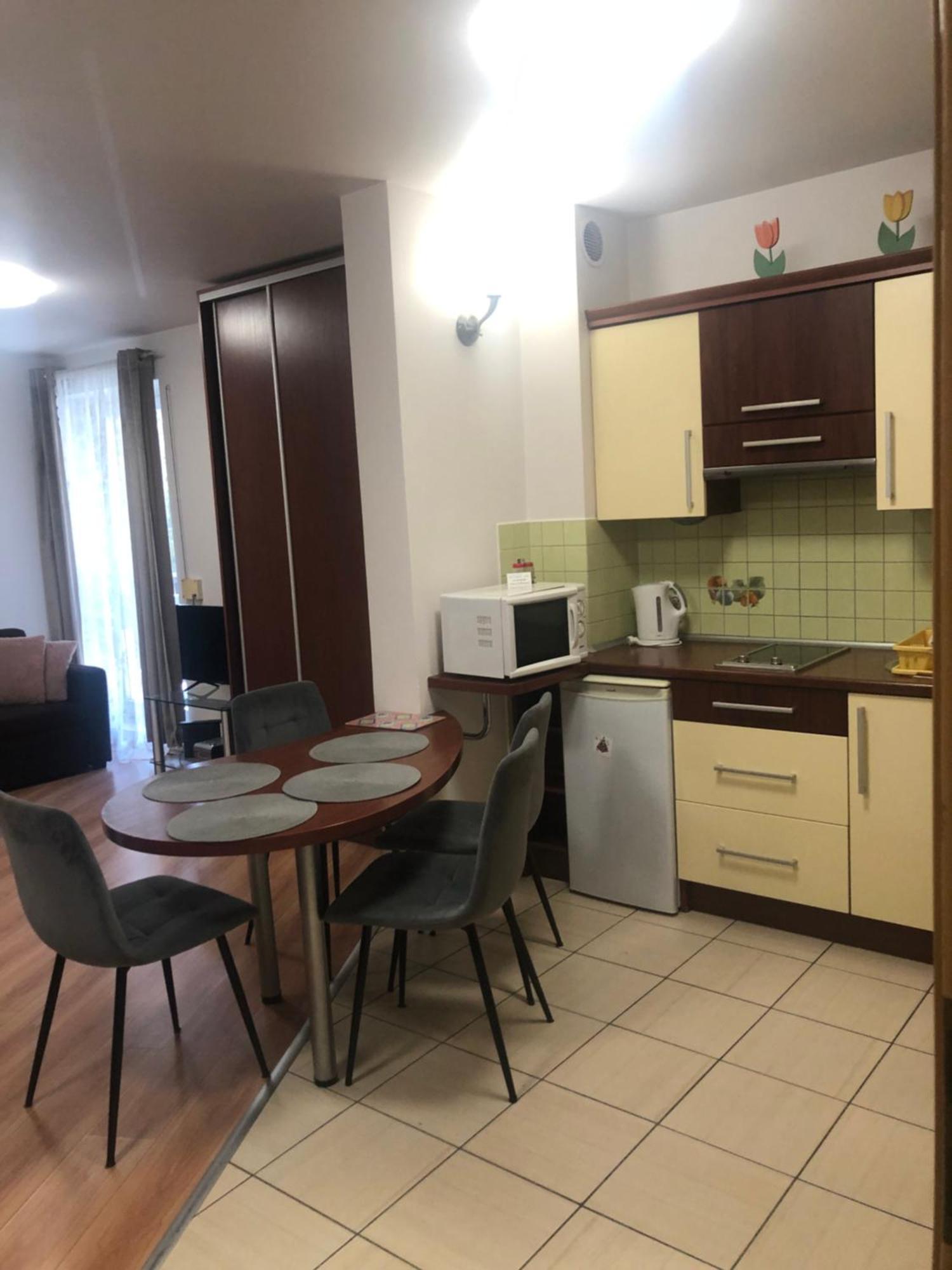 Apartament Studio ザコパネ エクステリア 写真