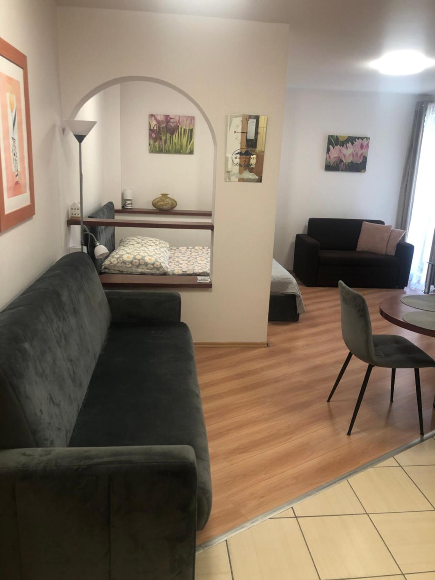 Apartament Studio ザコパネ エクステリア 写真