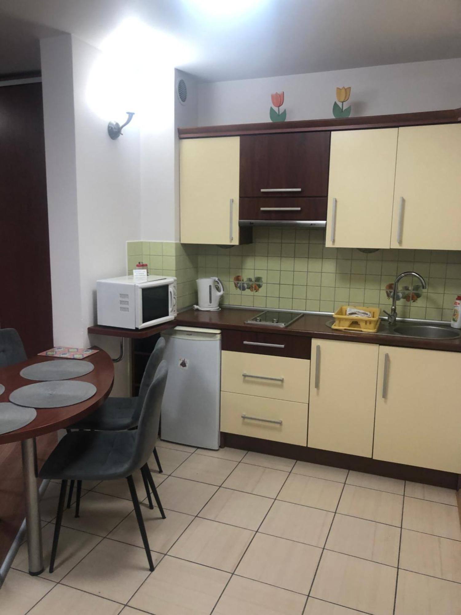Apartament Studio ザコパネ エクステリア 写真