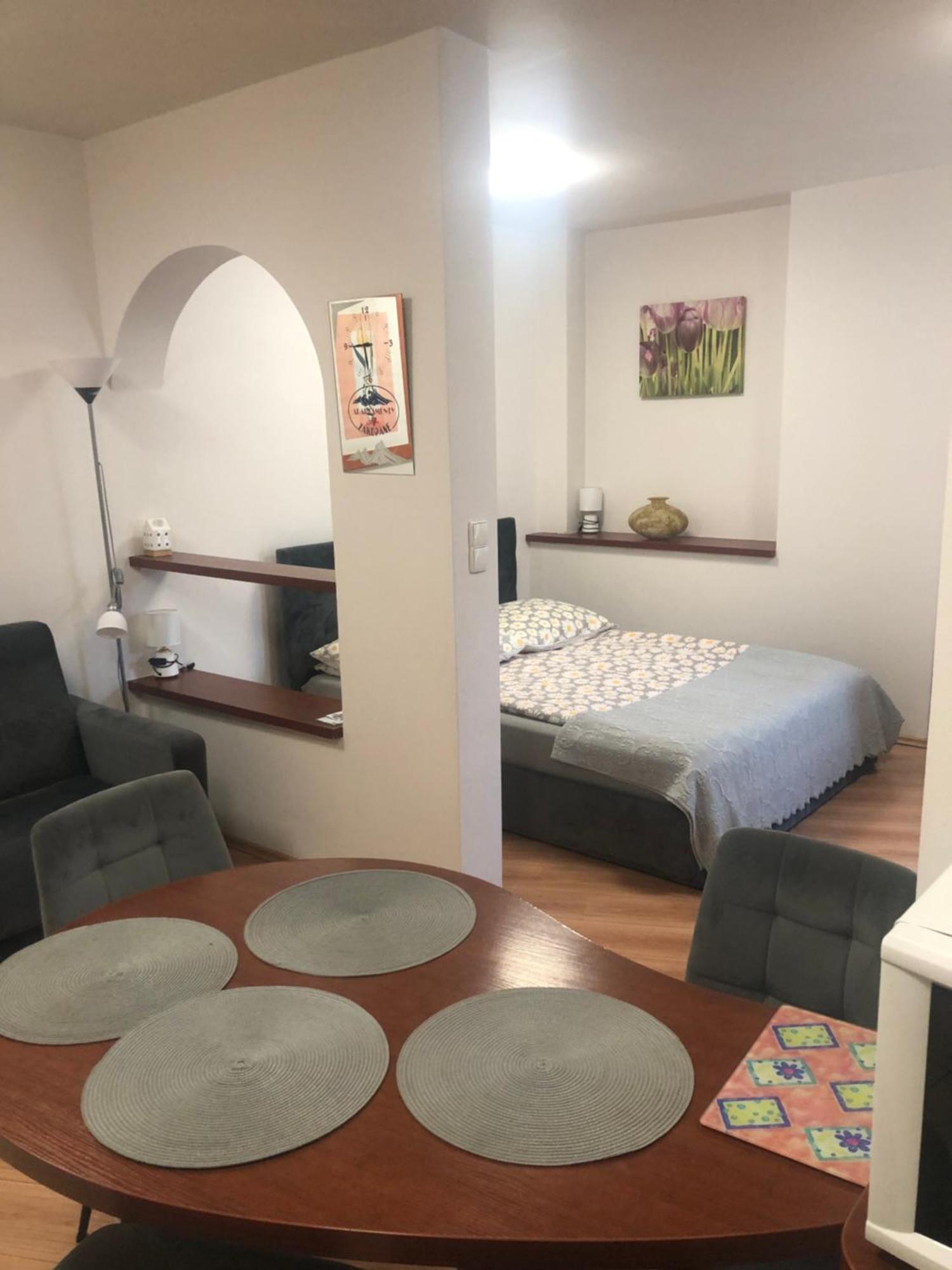 Apartament Studio ザコパネ エクステリア 写真