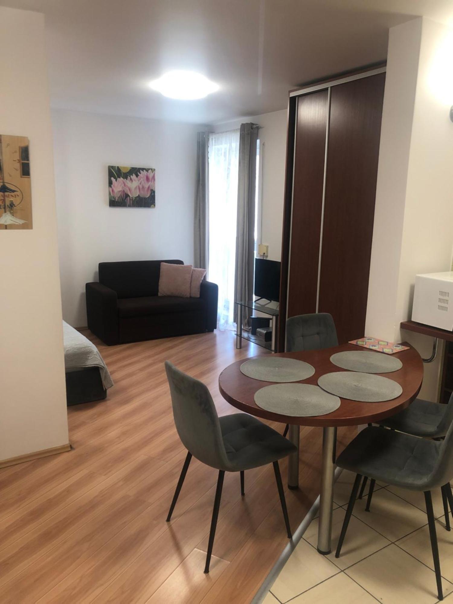 Apartament Studio ザコパネ エクステリア 写真